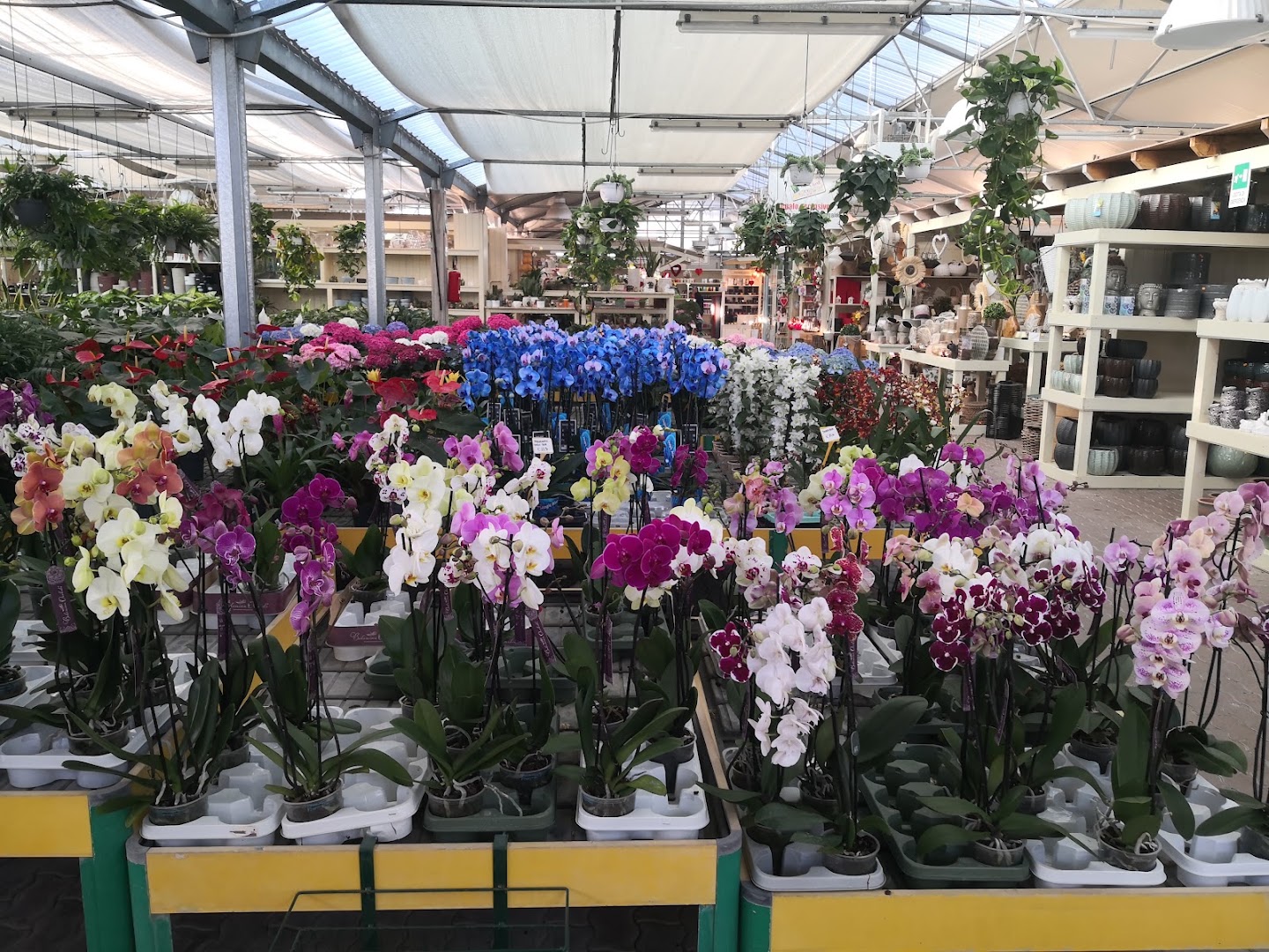 Mediterraneo Garden Center