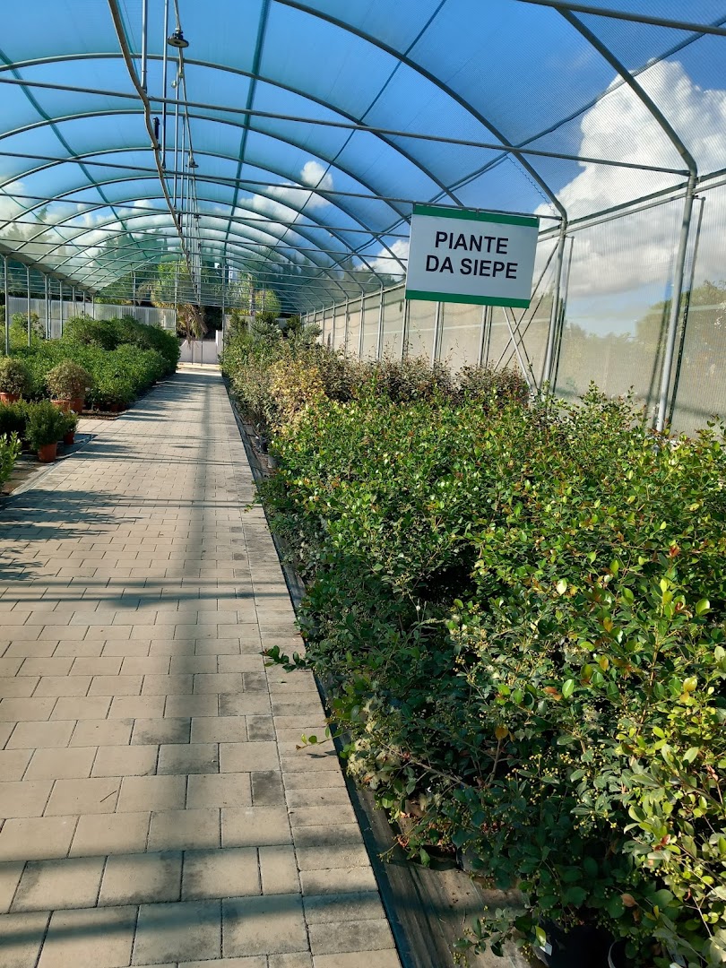Mediterraneo Garden Center
