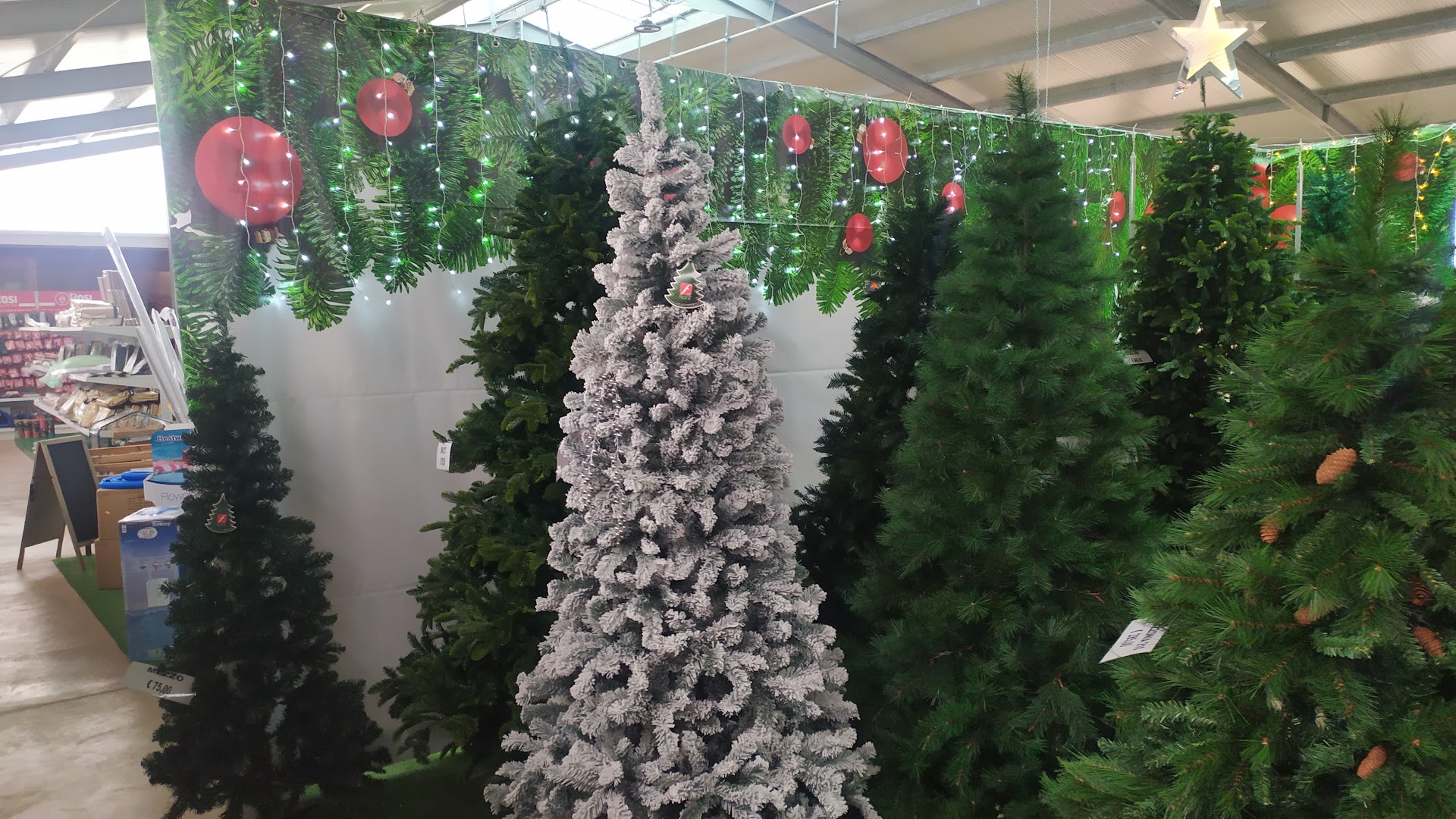 Mediterraneo Garden Center