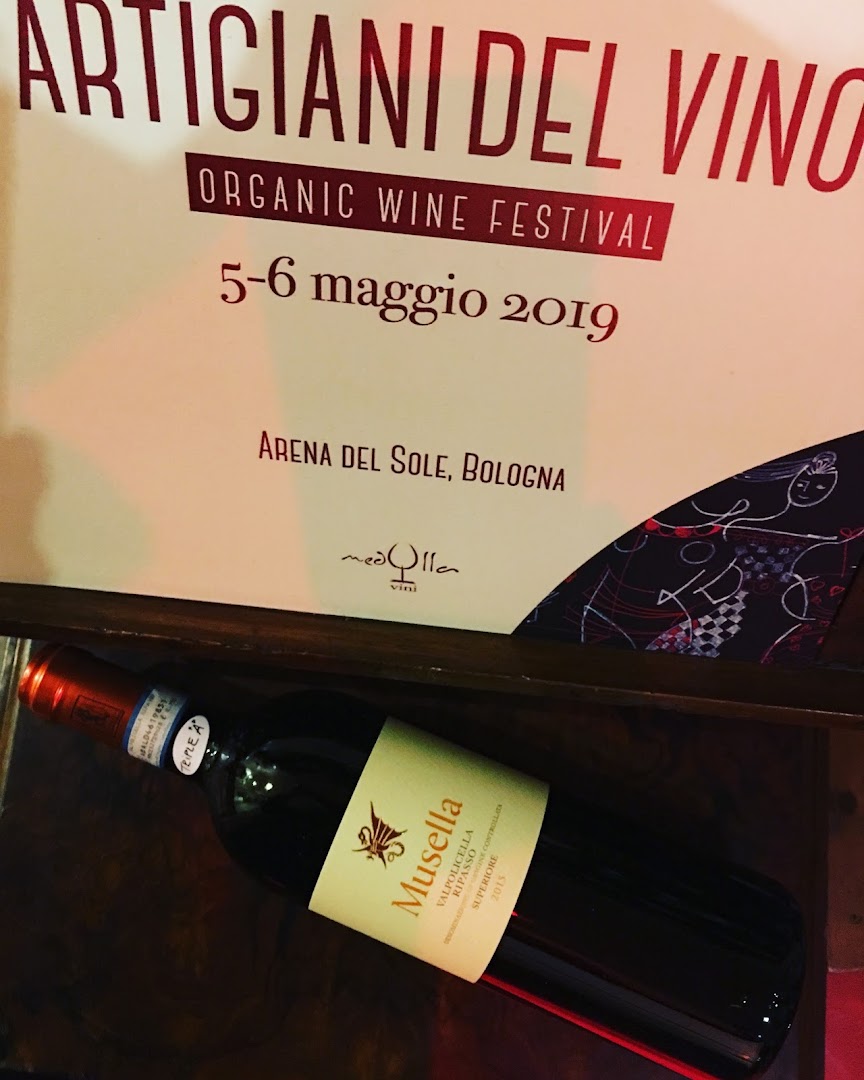Medulla Vini, Bologna