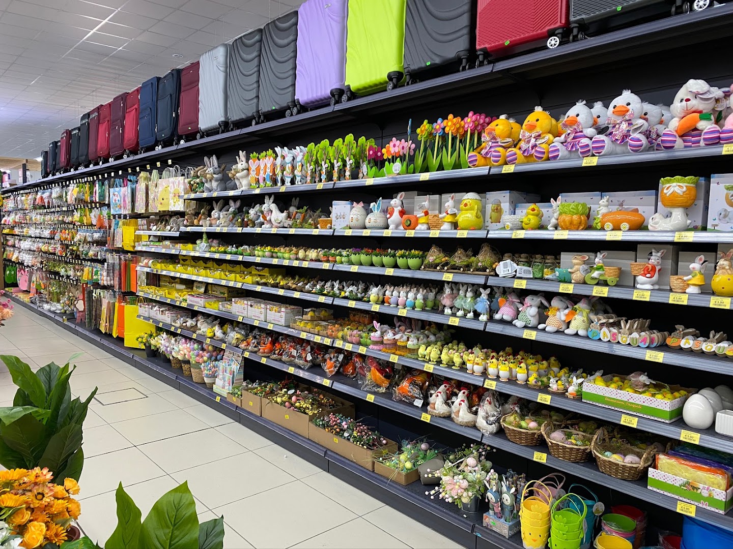 MEGASTORE BENEVENTO