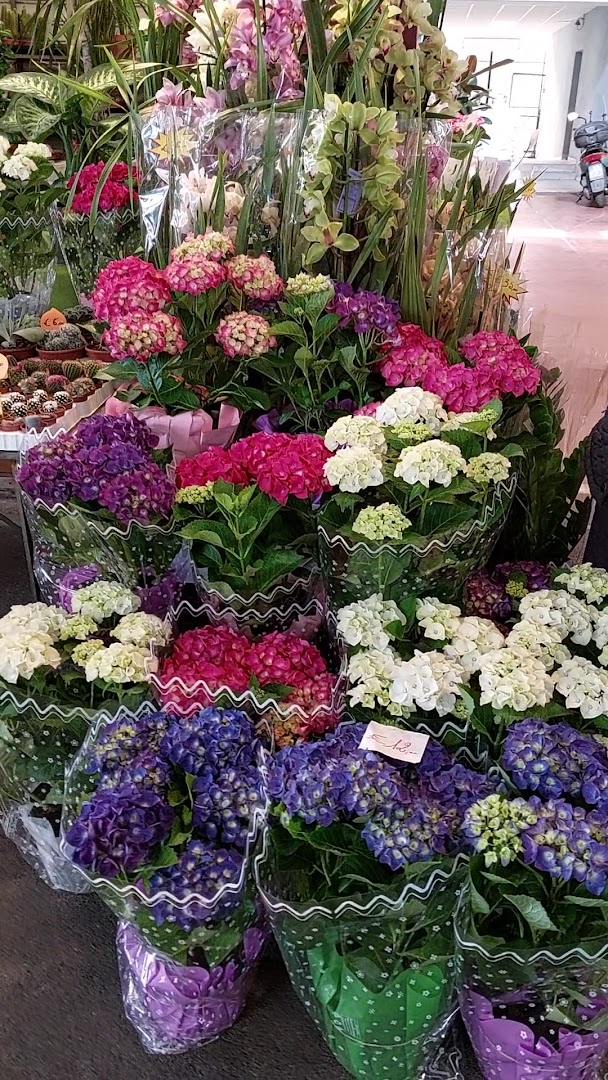 Mercato Coperto