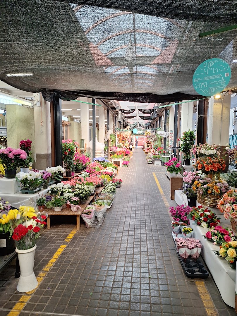 Mercato Coperto