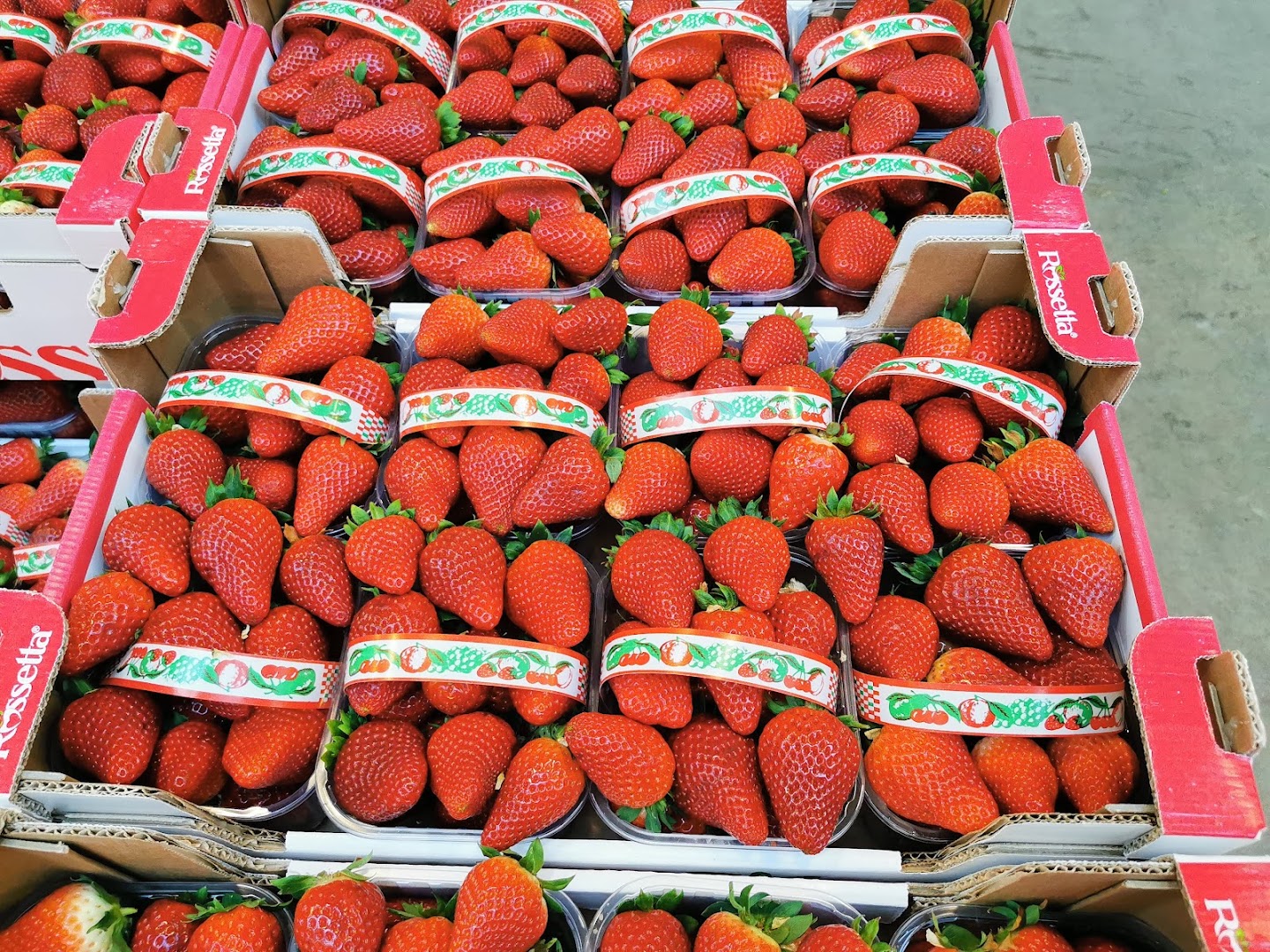 Mercato Ortofrutticolo di Genova