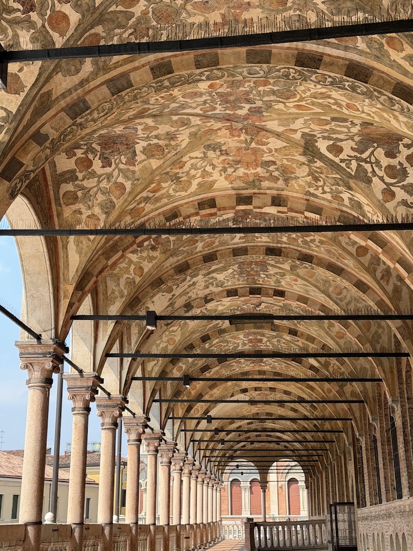 Mercato Sotto il Salone, Padova