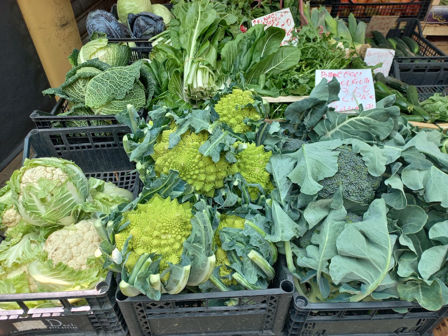 Mercato Vigna Murata