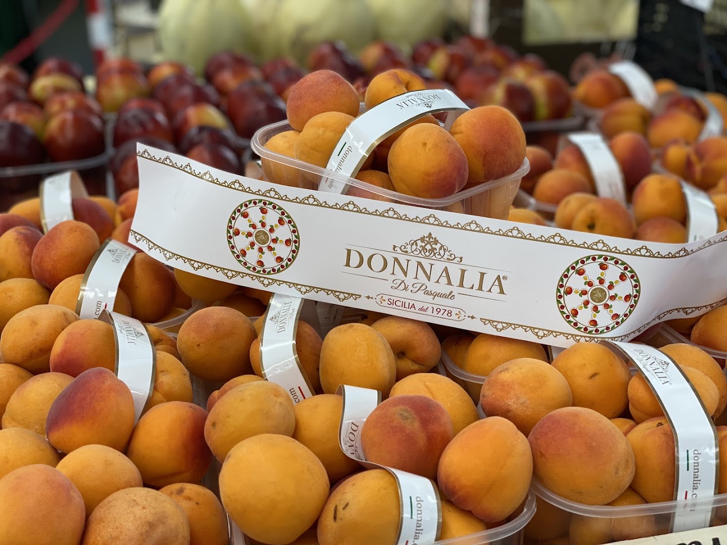 Mercatone Ortofrutta b & b Borgo Roma