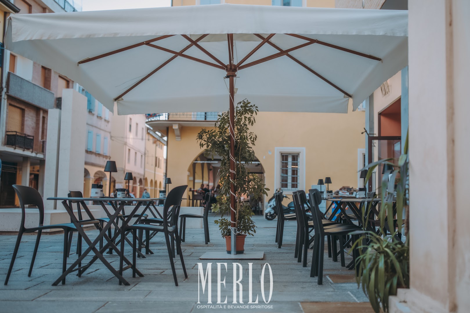 Merlo