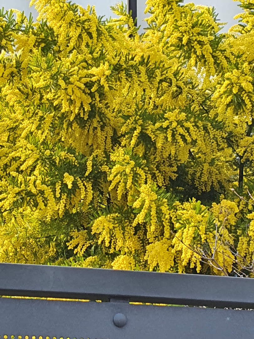 Metà Cadorna Padova