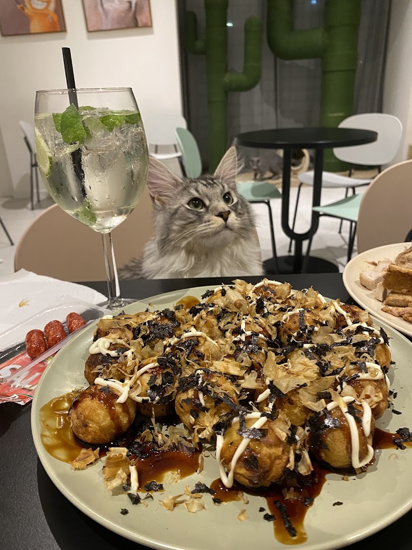Miaoka cat cafè