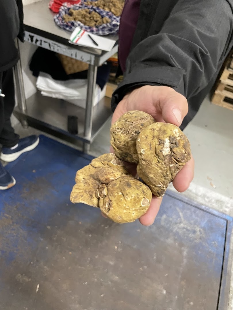 Milano Funghi srl