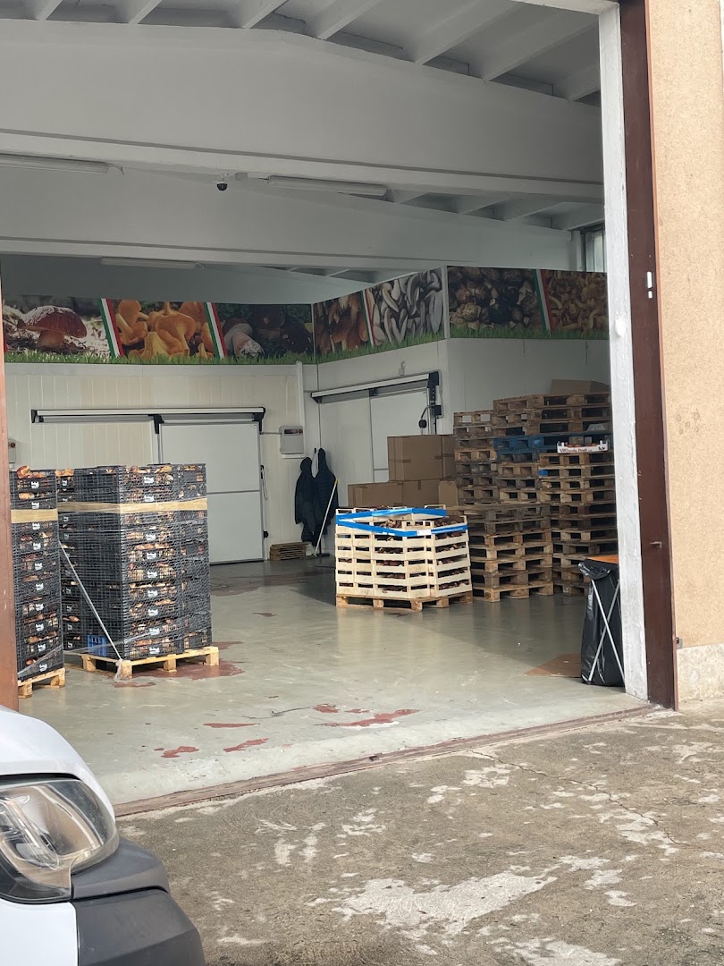 Milano Funghi srl