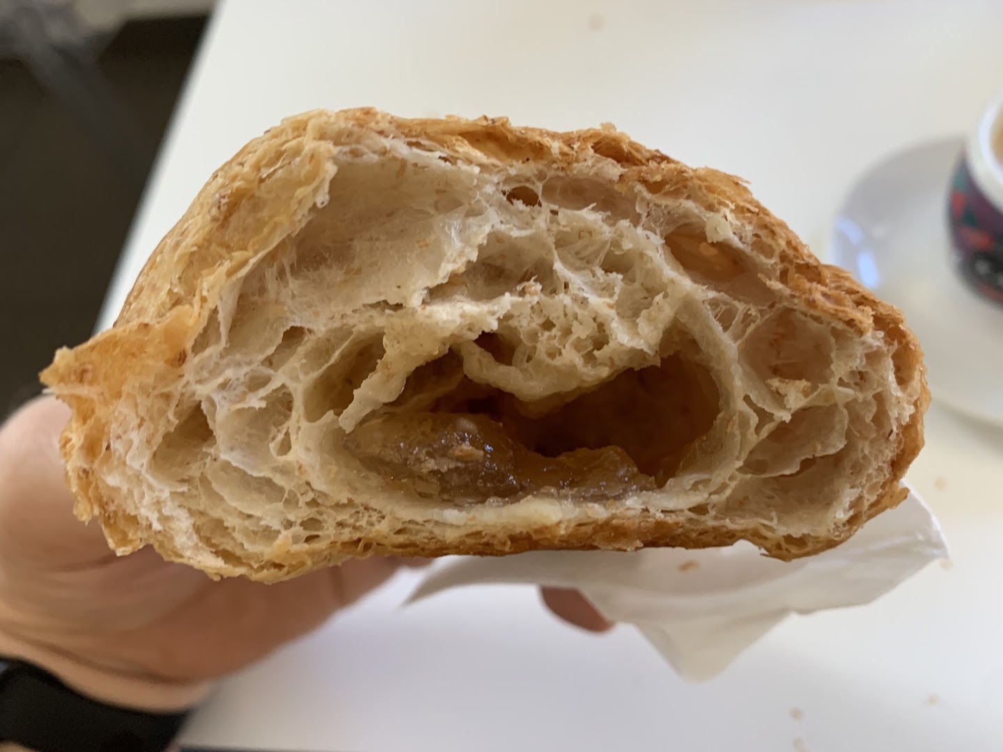Millevoglie