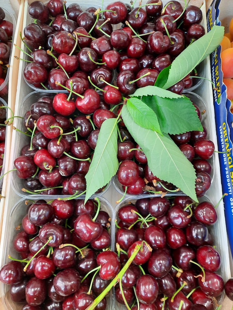 Mini Market LA SINFONIA DI GIOACCHINA agrumi BLANDINI