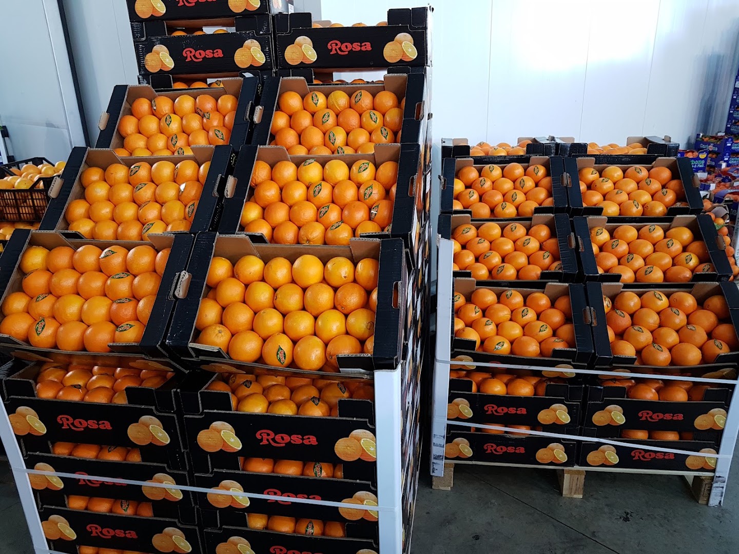 Minimarket di Chianucci Silvano
