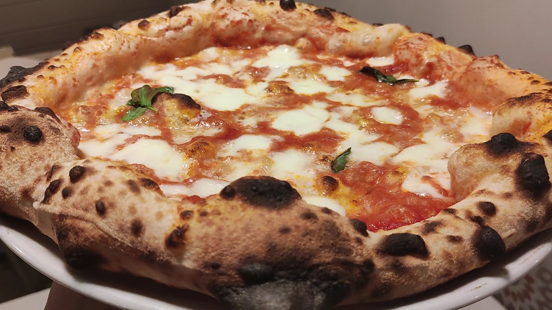 Miseria e Nobiltà trattoria casereccia ,pizzeria