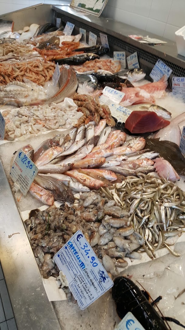 Mister Fish Srl Ristopescheria, Roma