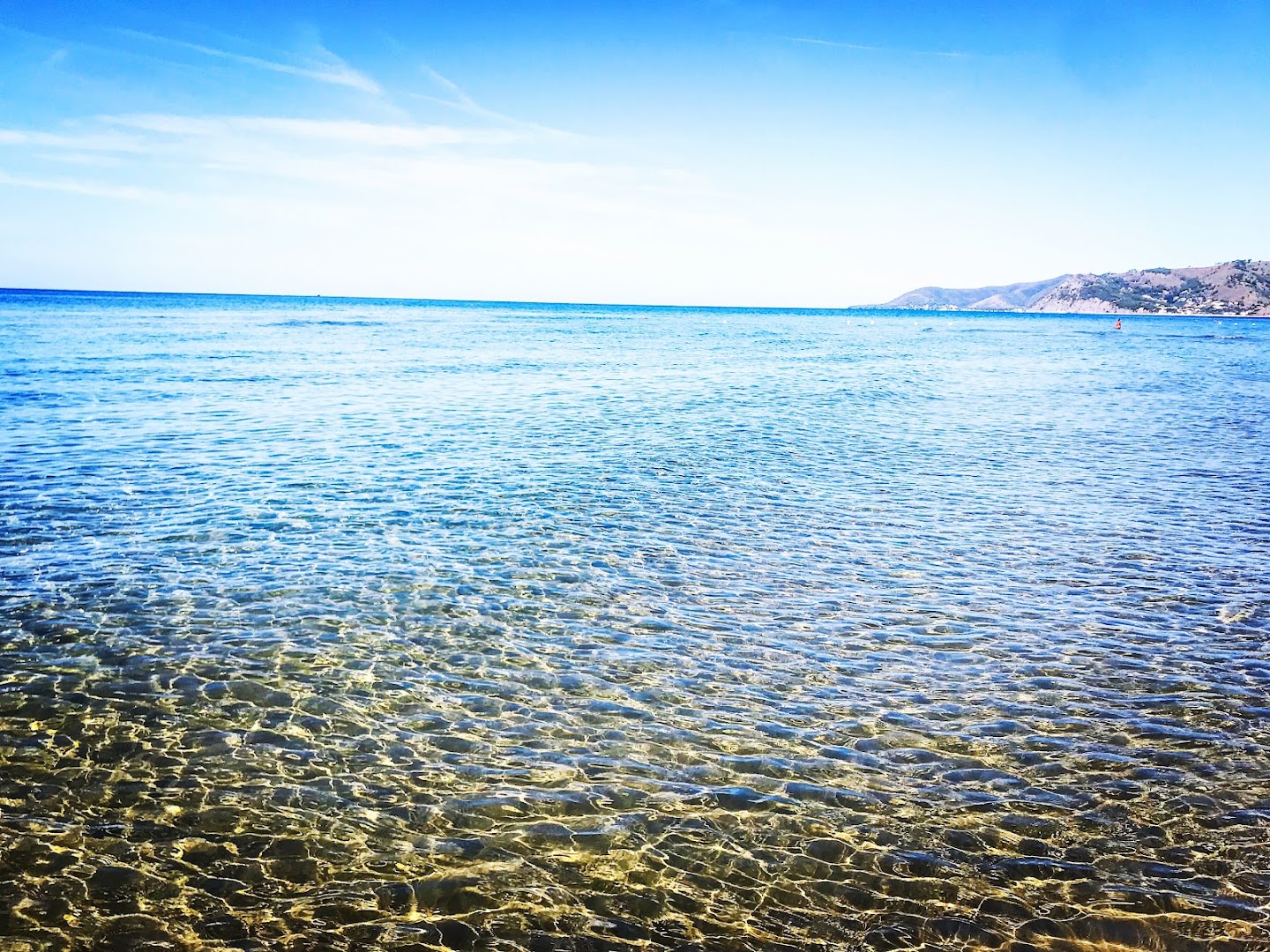 Mister Marlin Beach