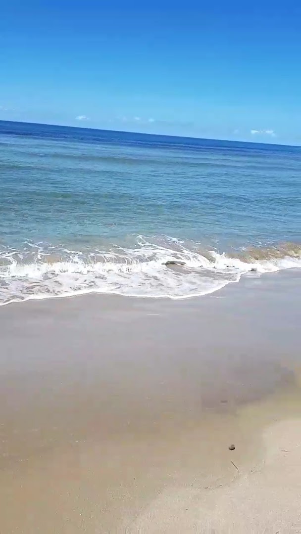 Mister Marlin Beach