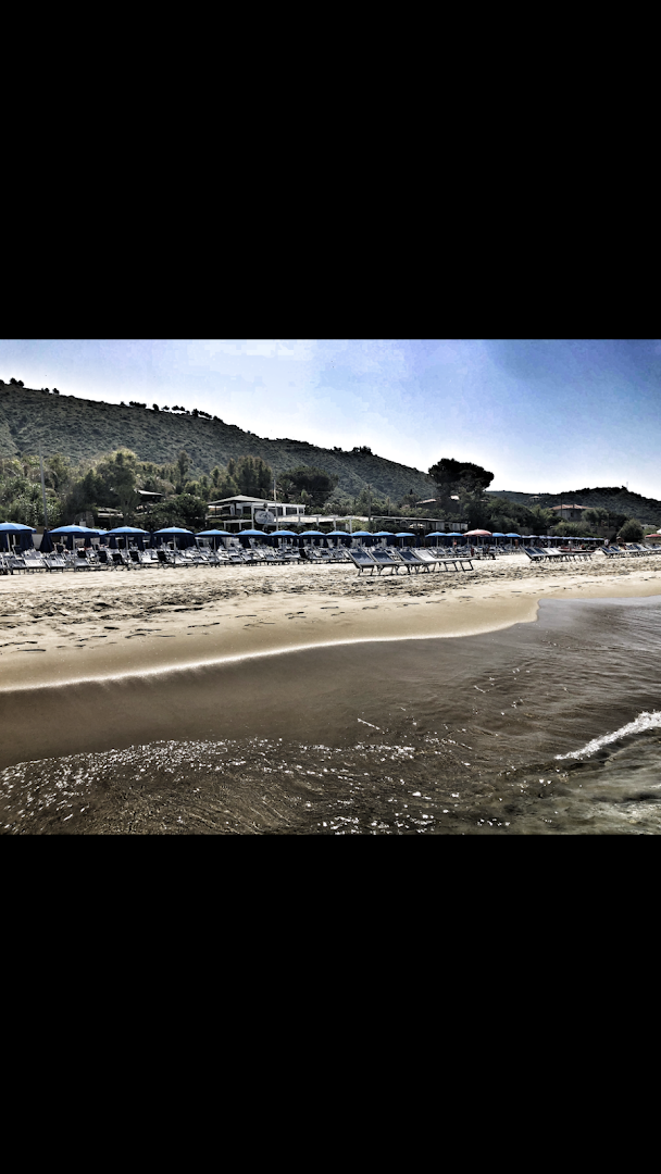 Mister Marlin Beach