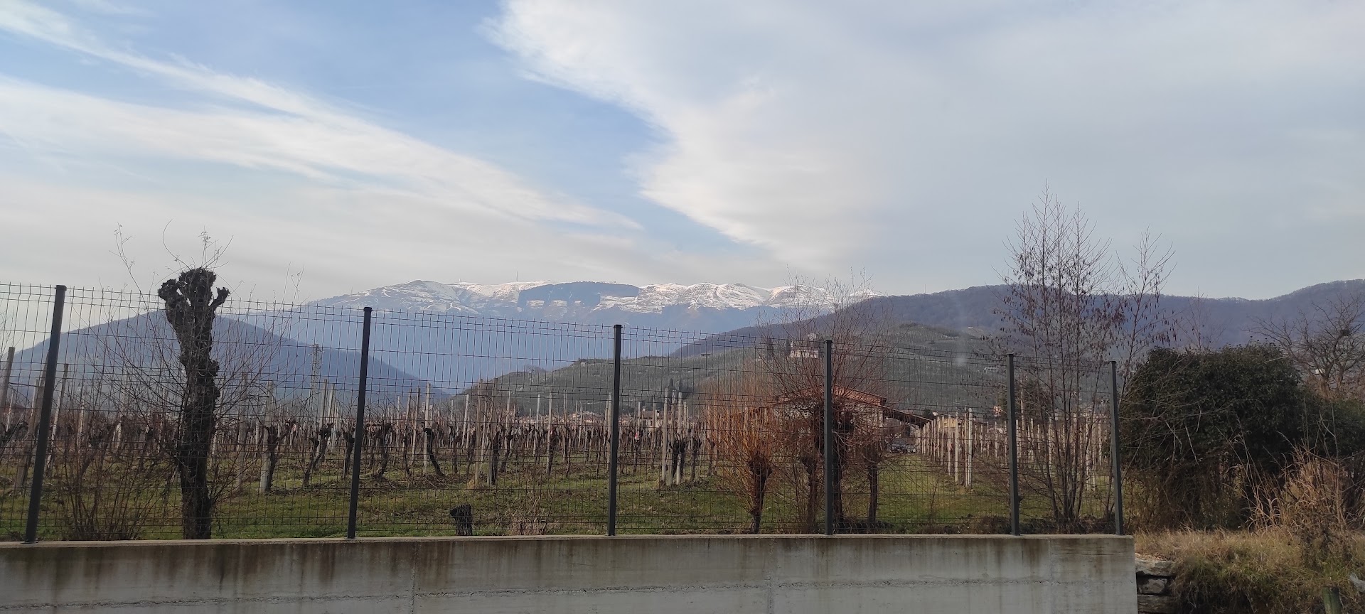 Miti S.r.l., Farra di Soligo
