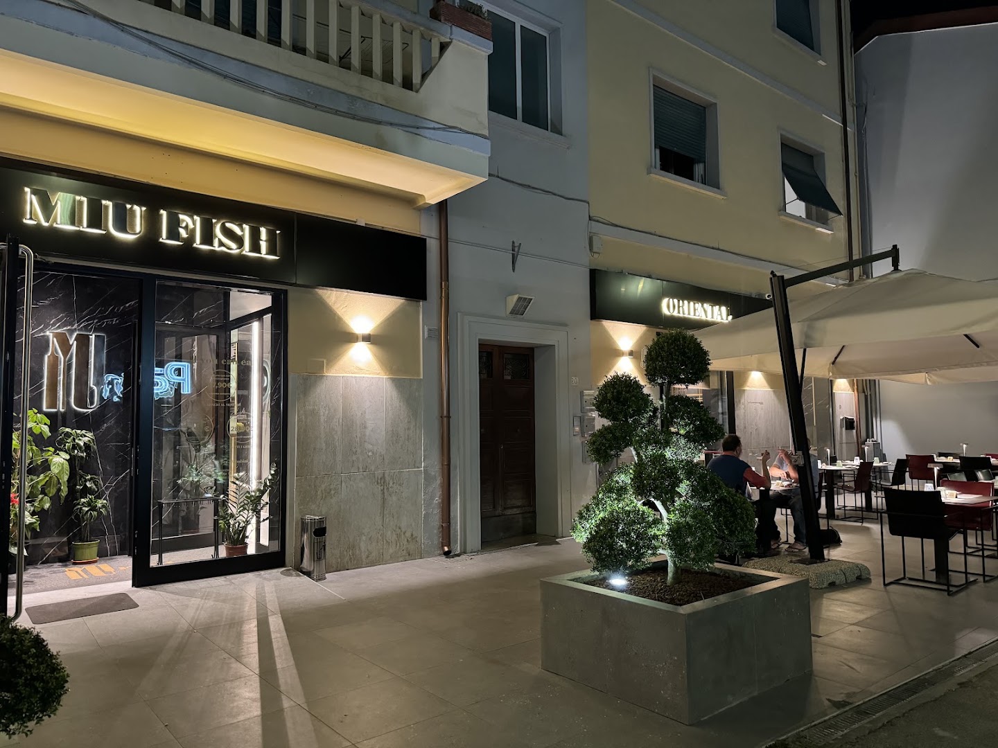 Miu Fish, Pisa