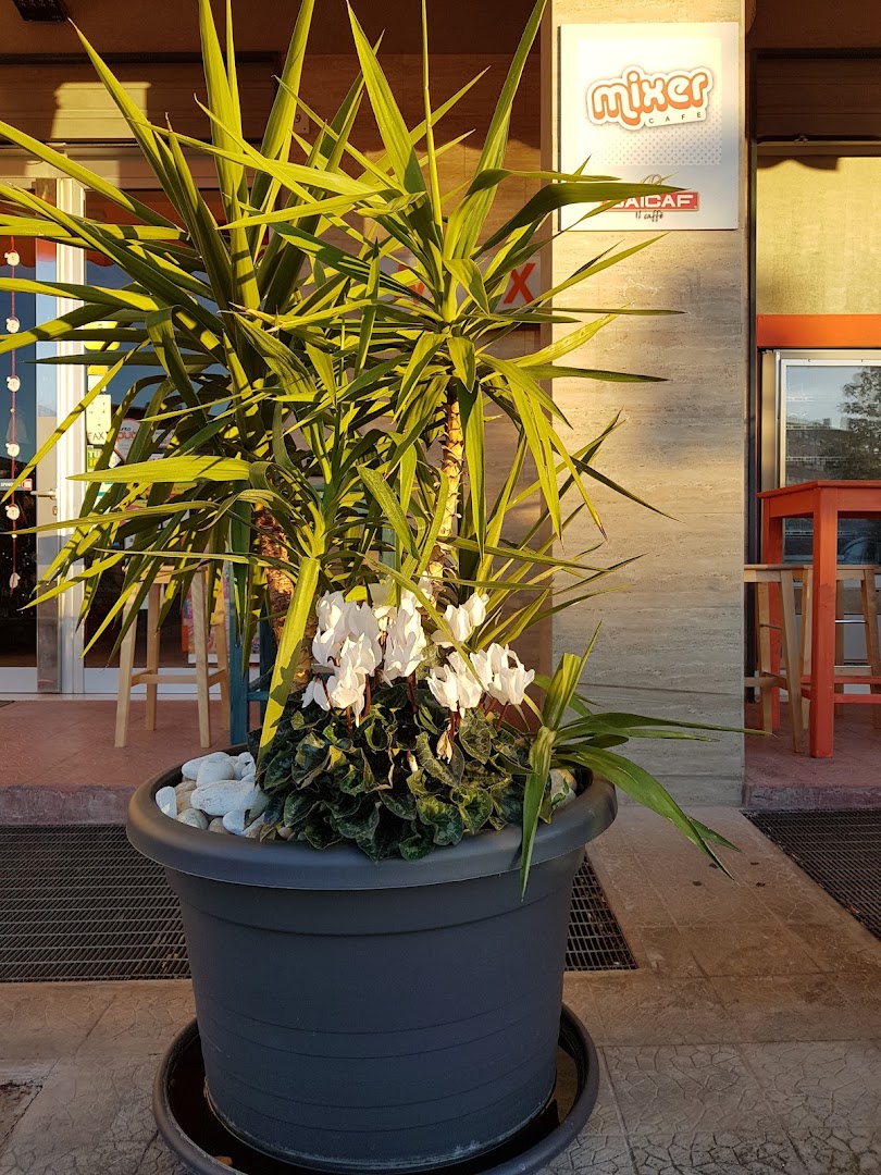 Mixer Cafe' - Tabaccheria De Candia, Molfetta
