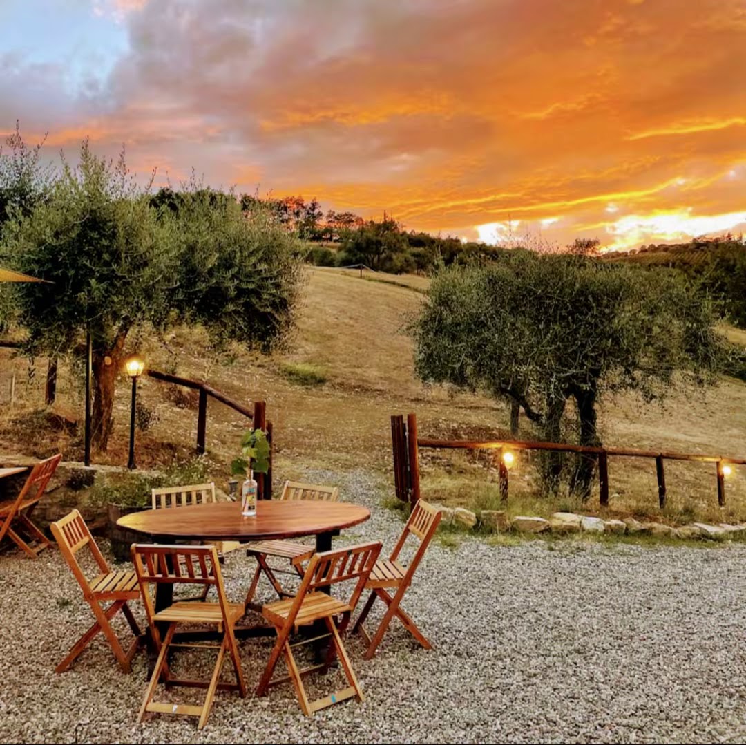 - MIXOLOGY FARM - ‍