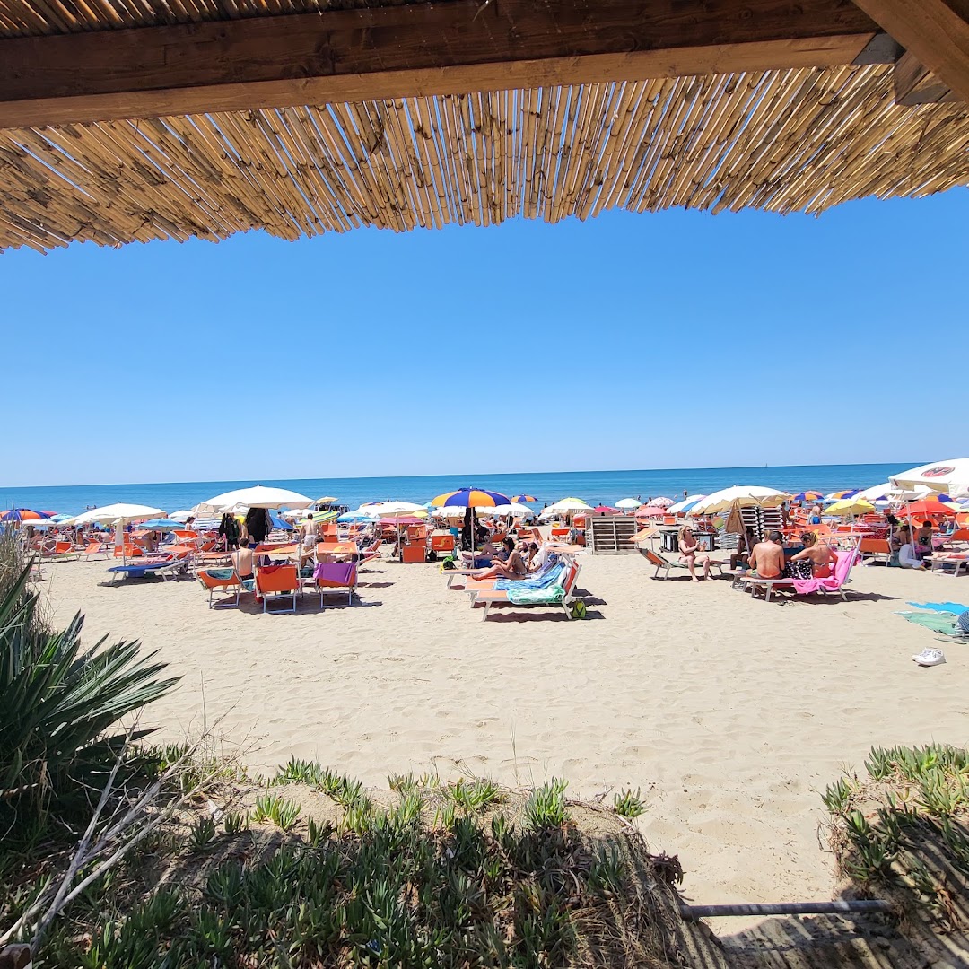 MOAI Beach, Passoscuro