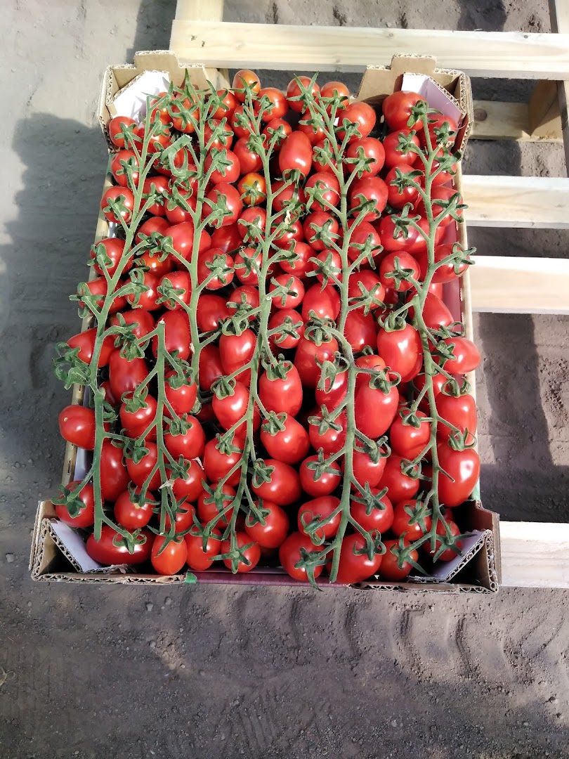 MOF - Centro Agroalimentare all'ingrosso di Fondi, Fondi