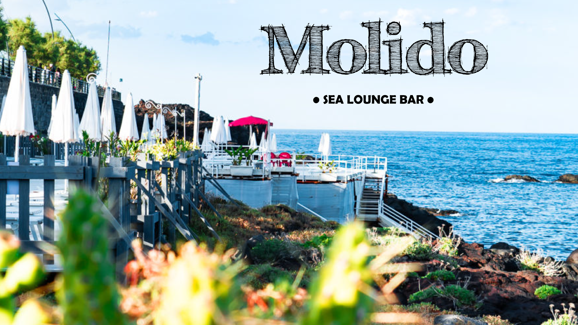 Molido - Sea Lounge Bar