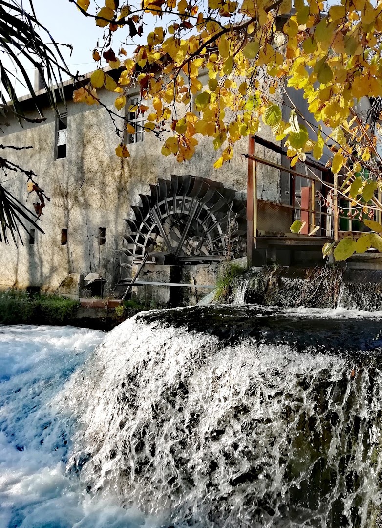 MOLINO C. DI GIUSTO e C. s.n.c