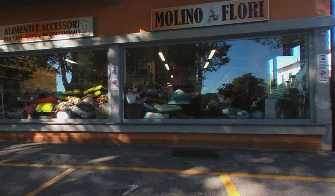 Molino Flori, Pistoia