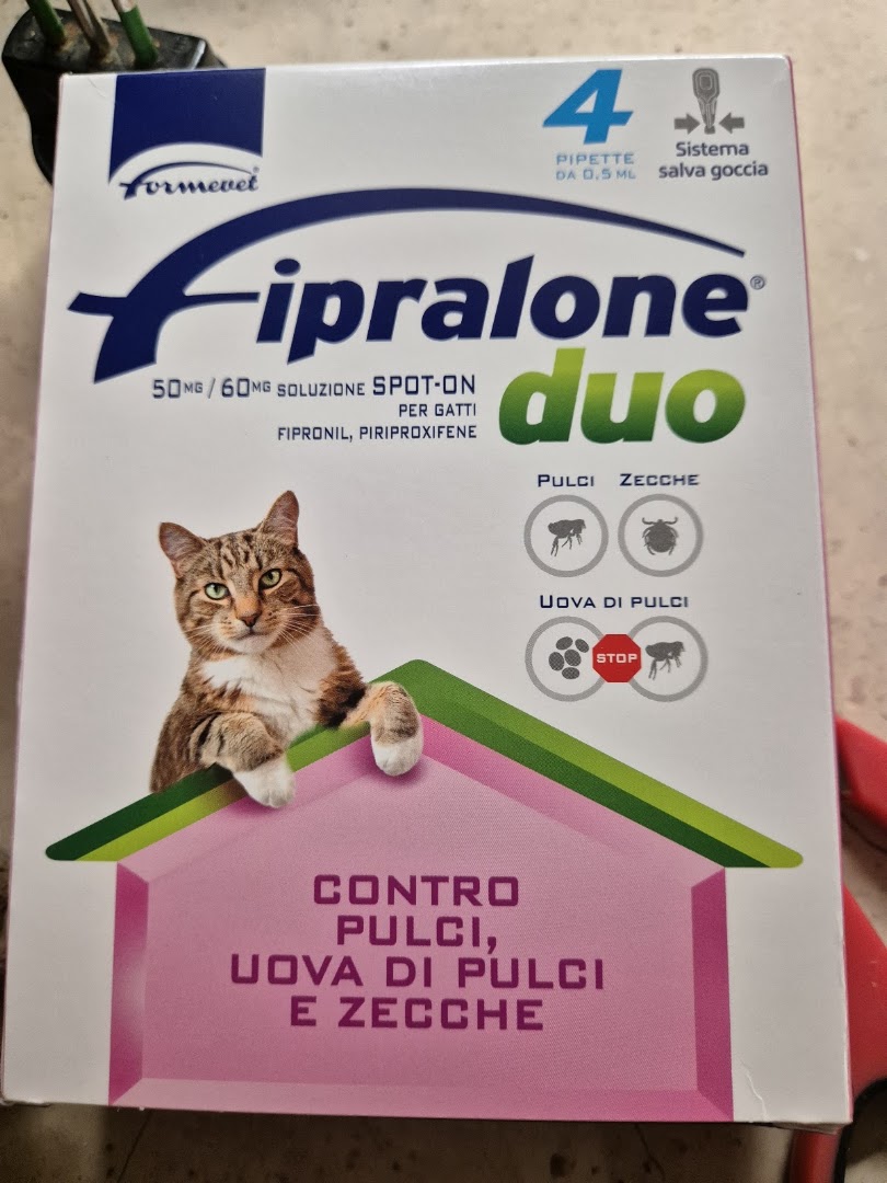 Molino Flori