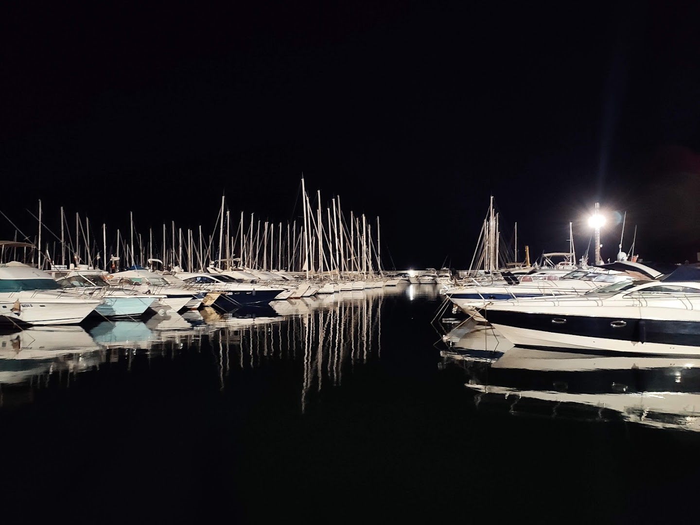 Molo 36