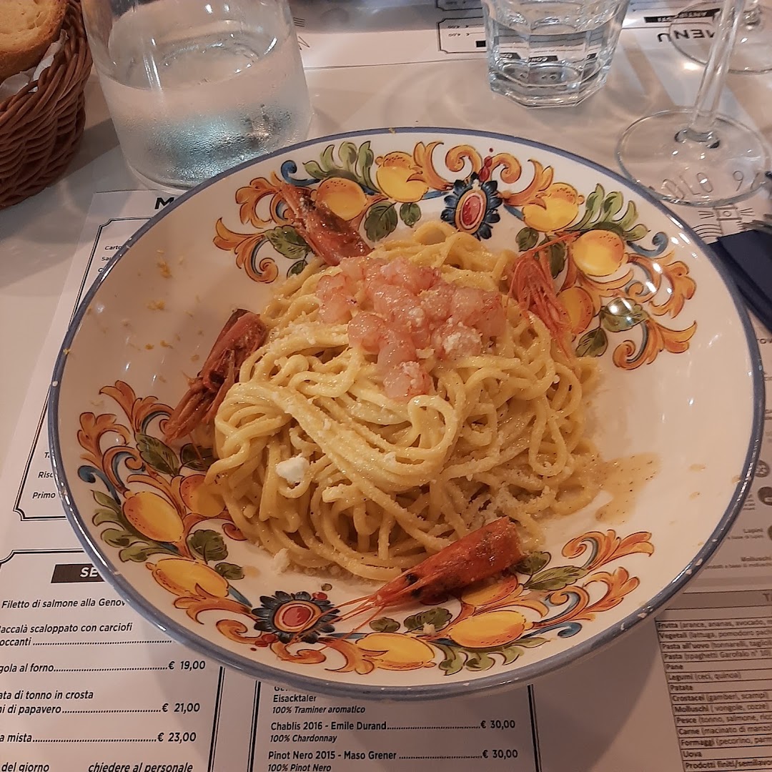 Molo 9/12 Fish Roma