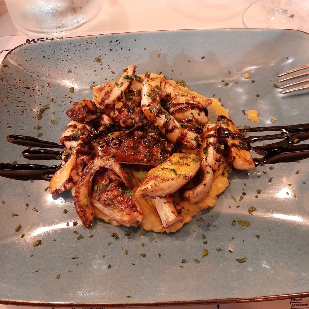 Molo 9/12 Fish Roma