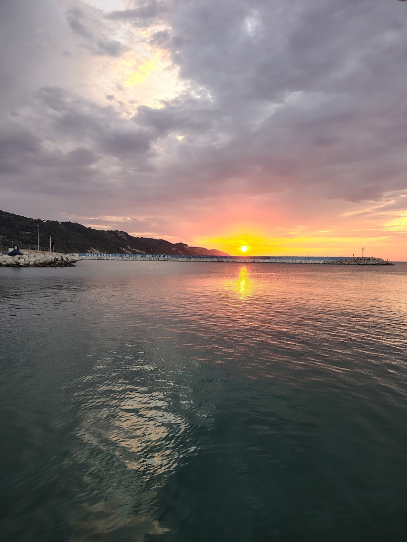 Moloco di Levante, Pesaro