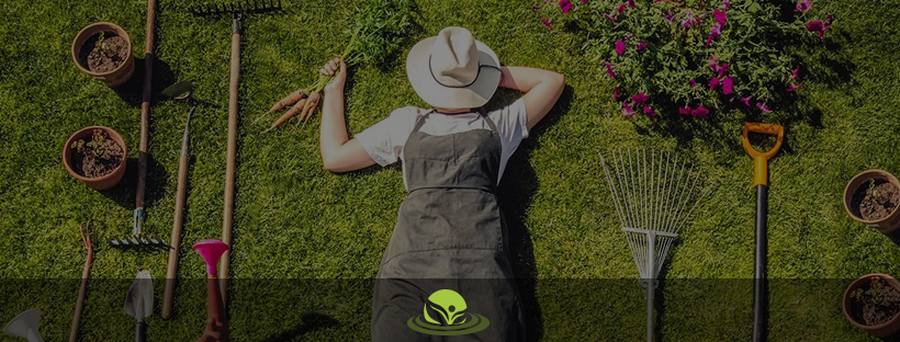 Mondo Natura Group srl