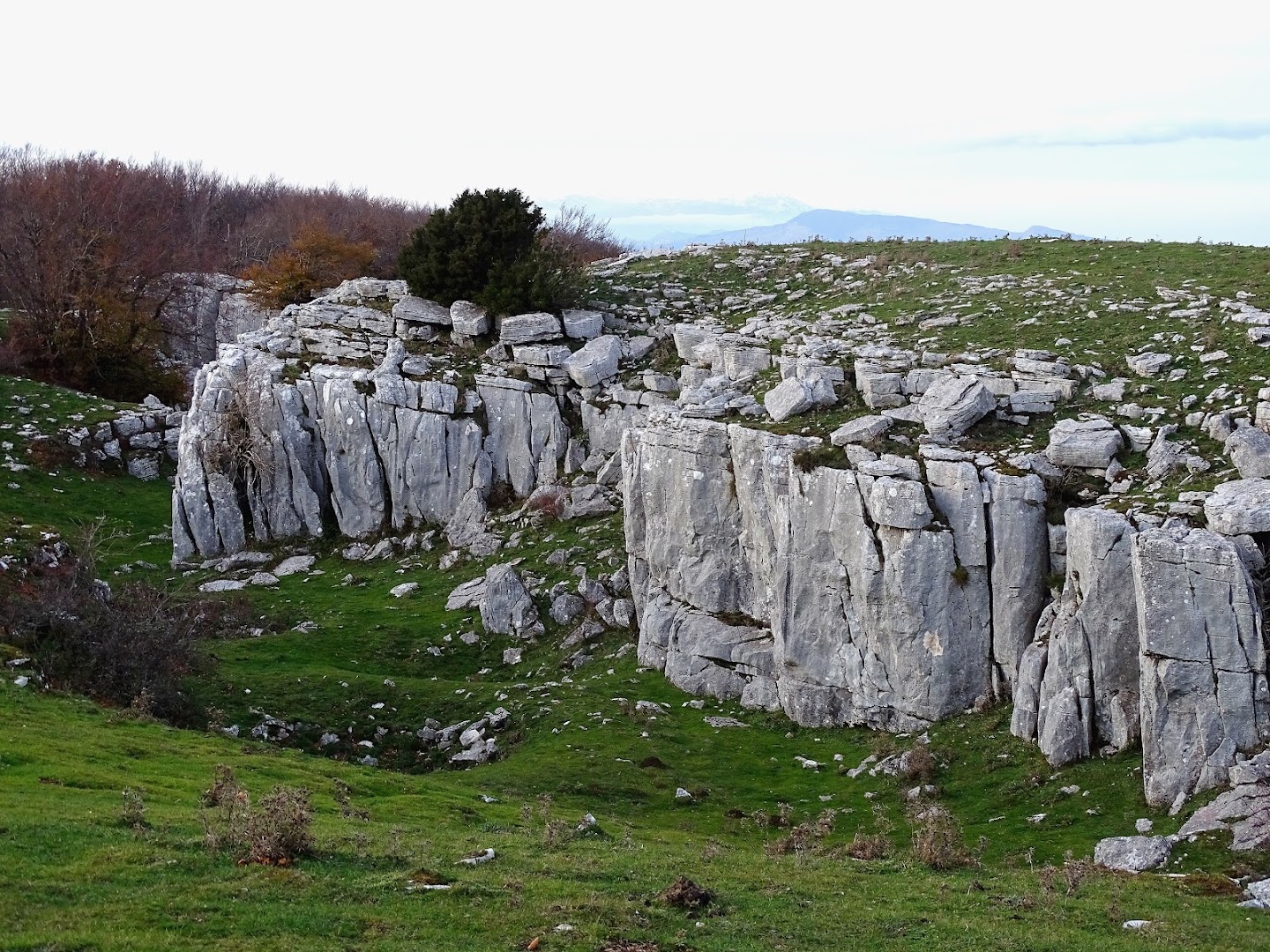 Montagnola Molisana