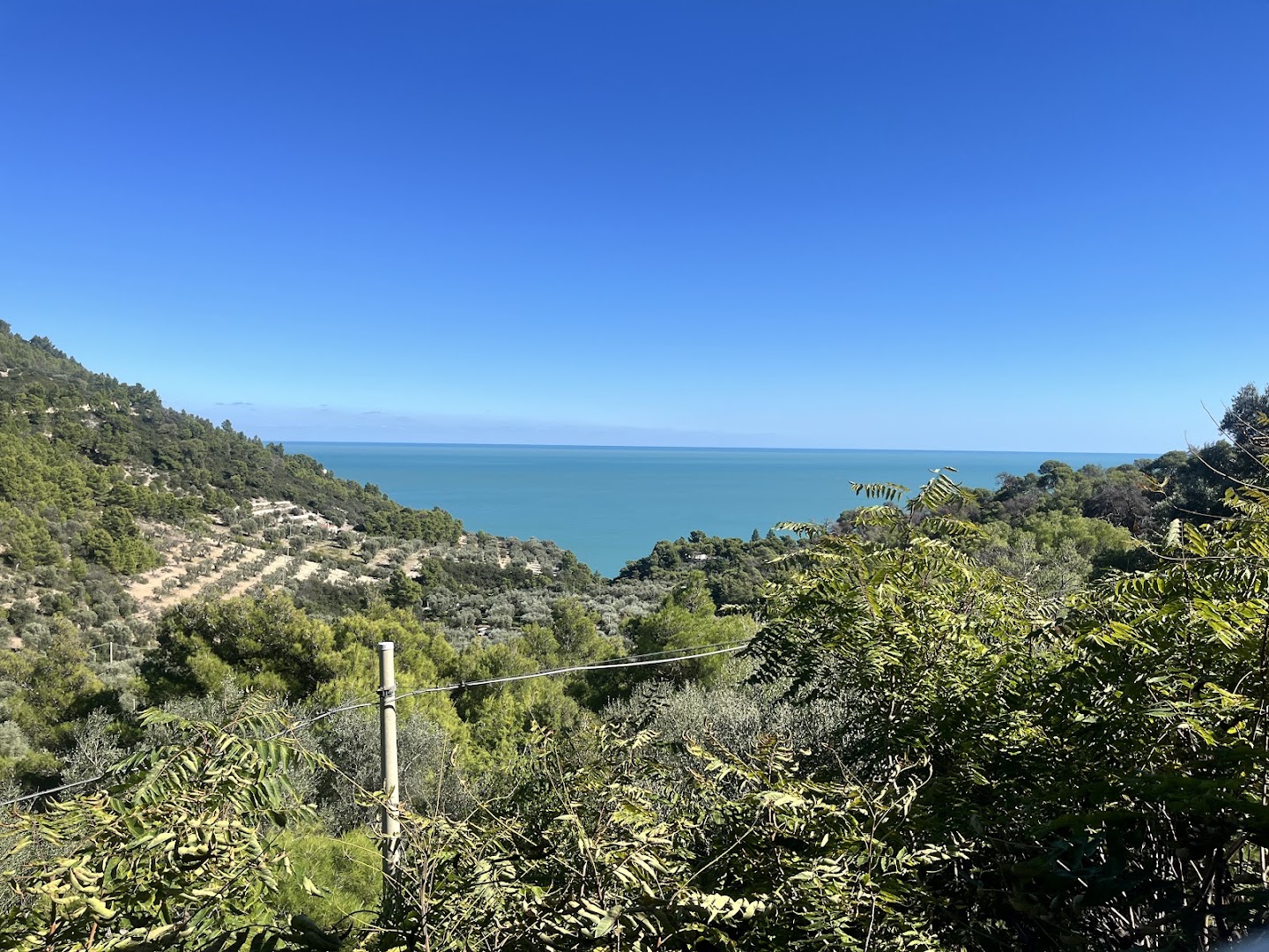 Monte Barone da "Sor Pascal"
