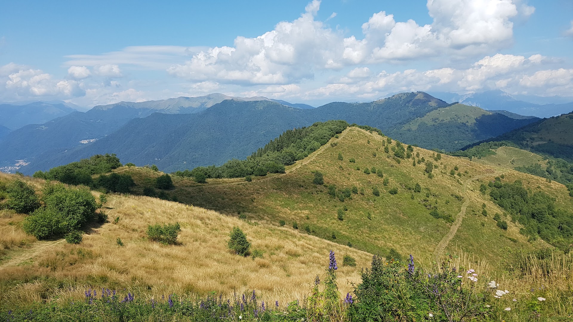 Monte Boletto