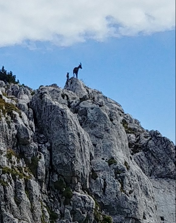 Monte Borgà