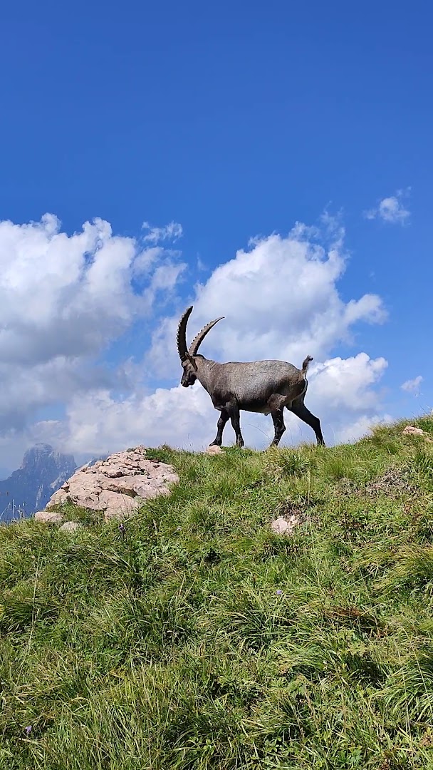 Monte Borgà