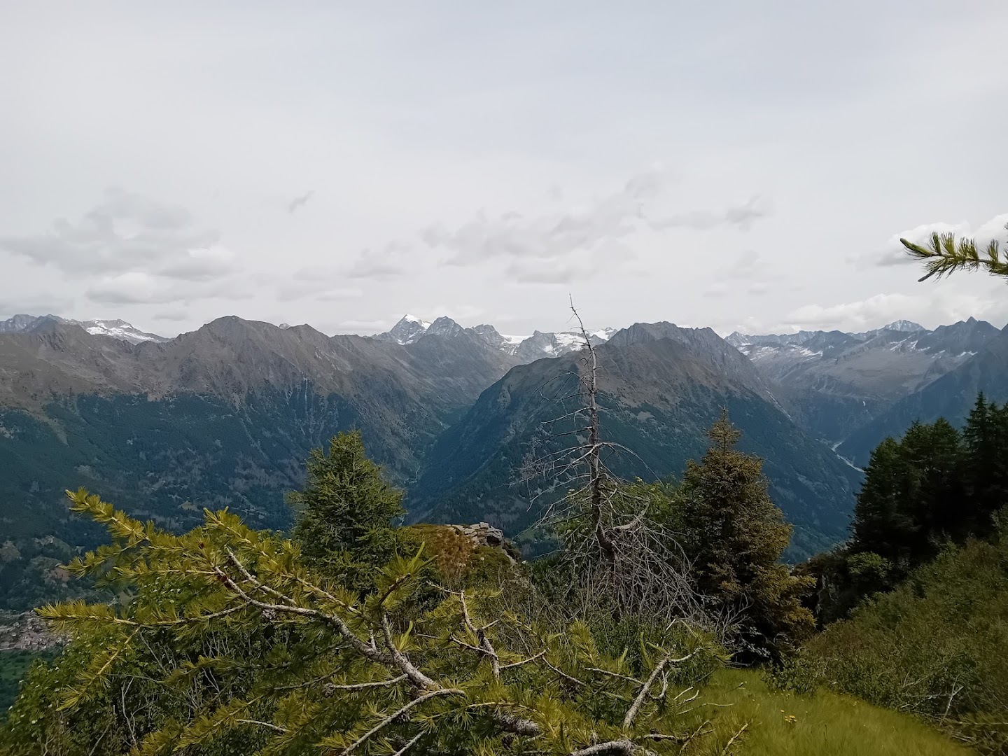 Monte Colombè