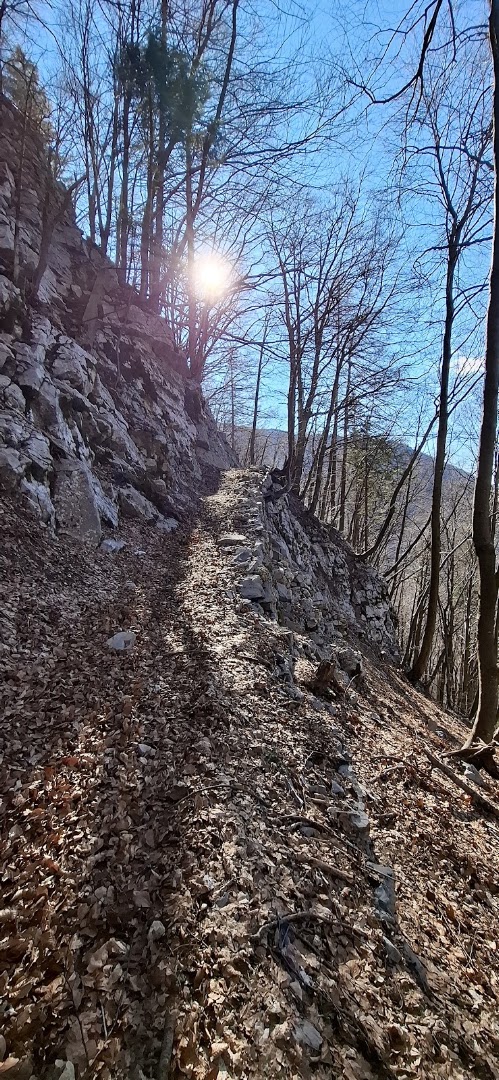 Monte Forcella