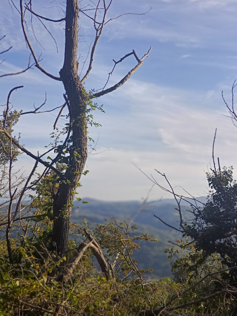 Monte Maggio