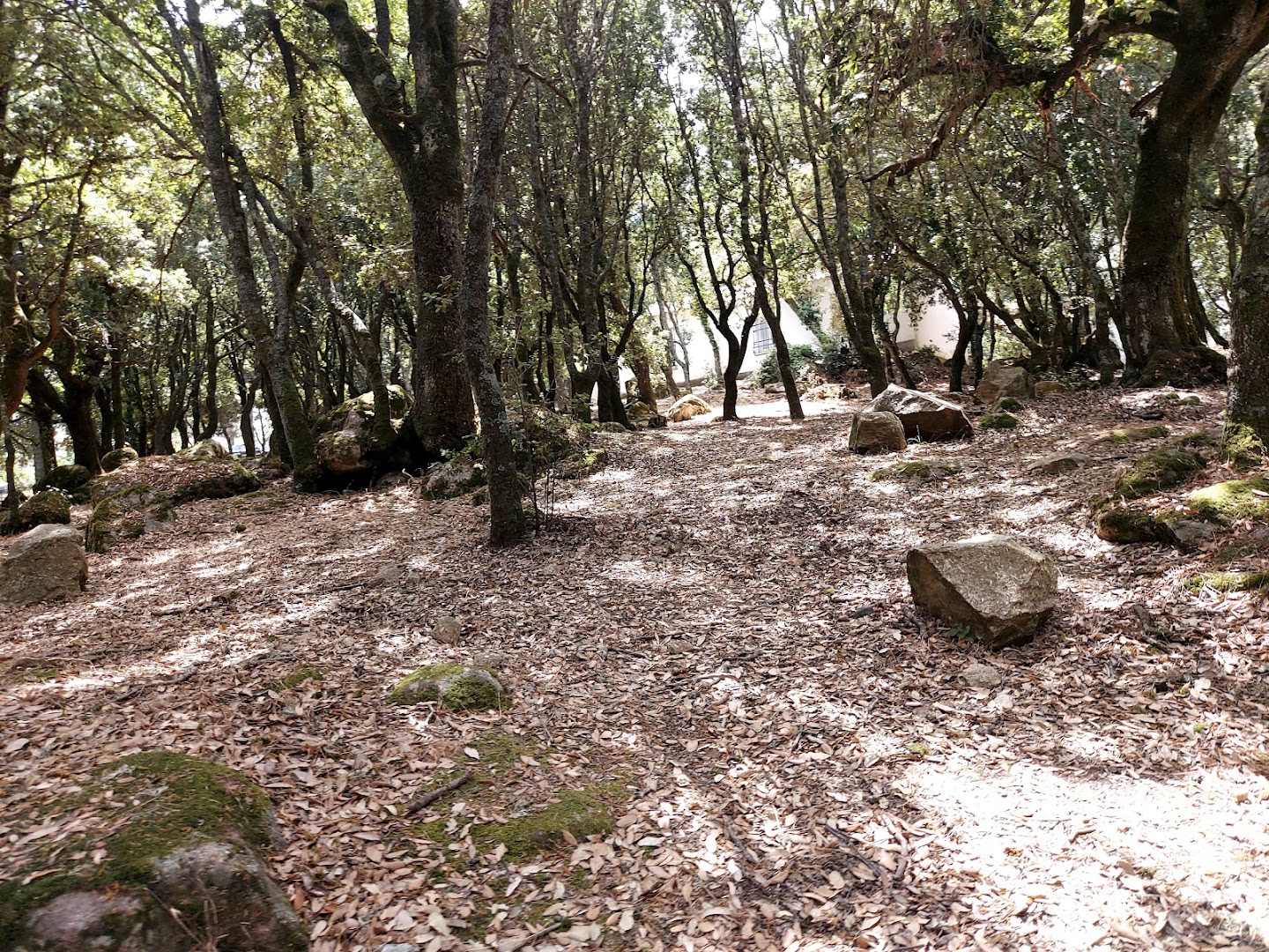 Monte Ortobene