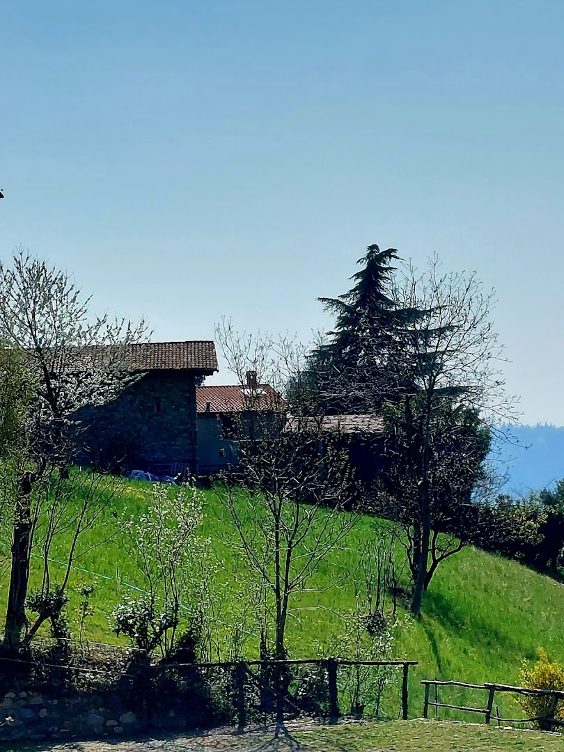 Monte Pisgiù 560 Mt.