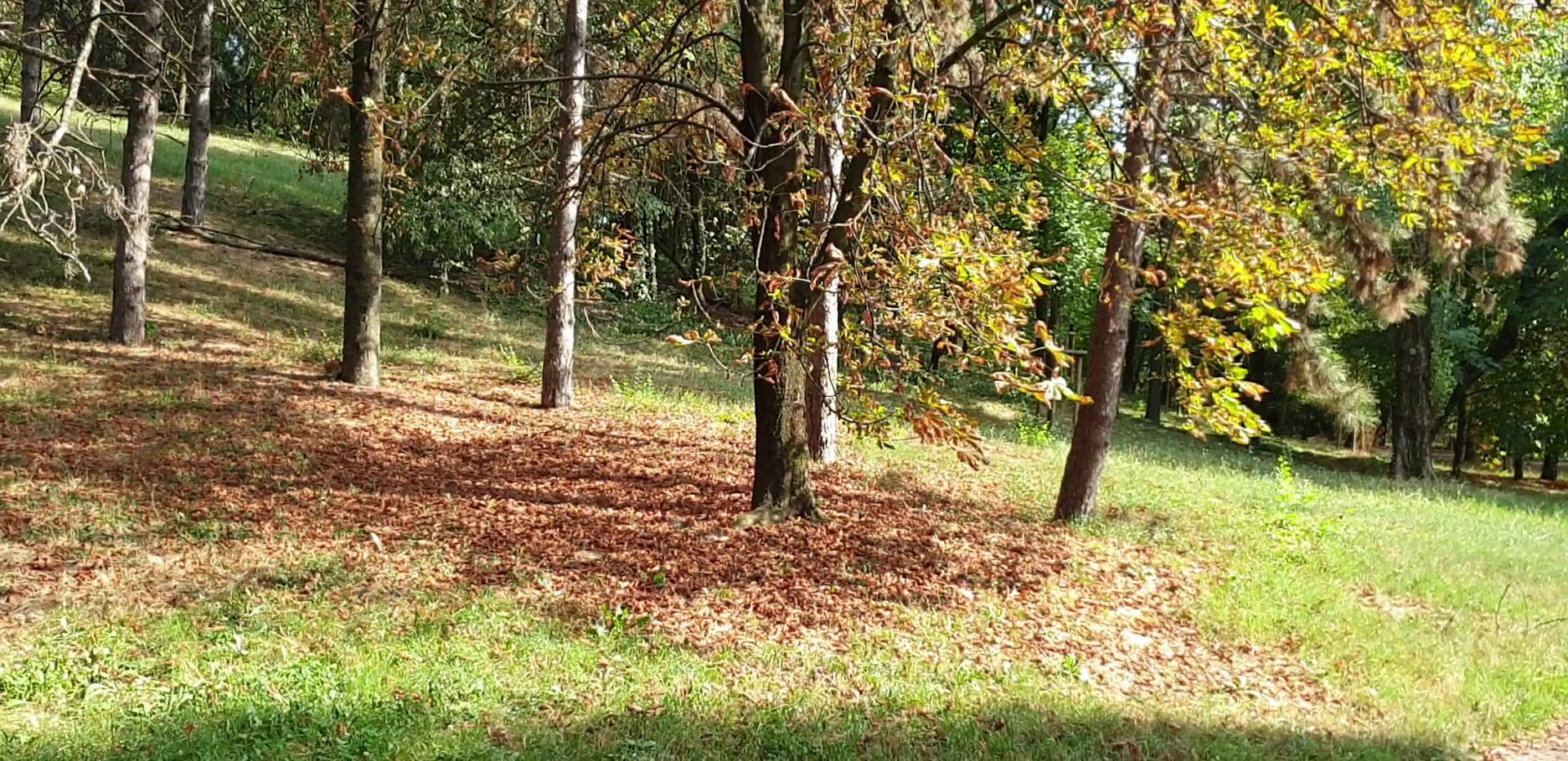 Monte Stella